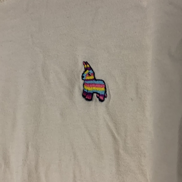 American Eagle Piñata Crop - Picture 2 of 3